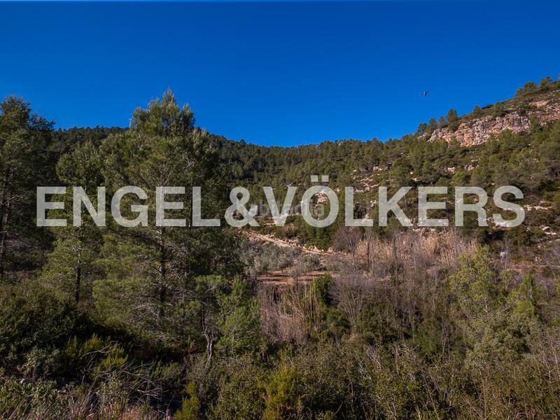 Foto 5ea05843-1dc0-4b2f-bafd-533e2d36b42d. Terreny residencial a Moixent