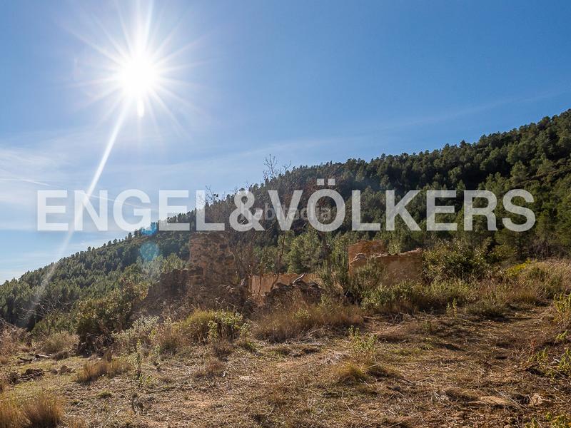 Foto 6114e467-3726-4d0c-a2cb-1c3814d6302c. Terreny residencial a Moixent