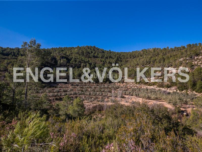 Foto af37ec63-0f86-4c4a-871c-bc171c599ec9. Terreny residencial a Moixent