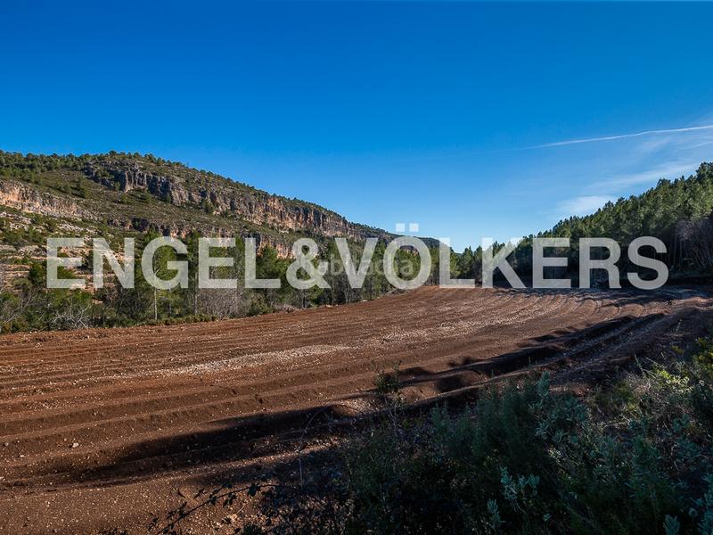 Foto afc31795-34dd-4942-b2b2-fc70bc1f5fef. Terreny residencial a Moixent