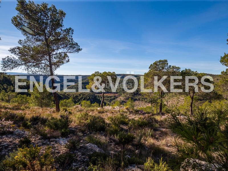 Foto b21d771c-62bf-4379-aade-36c5838f92ea. Terreny residencial a Moixent