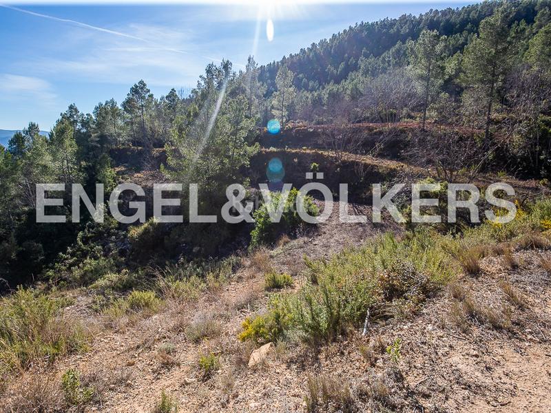 Foto b7e394ec-e274-47b5-bd7f-434c7d2a2ec6. Terreny residencial a Moixent