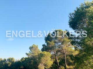 Terreny residencial a Requena. Finca rústica la serratilla