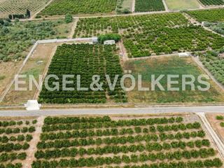 Terreny residencial  Partida cometes. Finca rustica ideal para construir vivienda