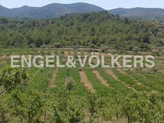 Terreny residencial  Masía escrich. Terreno agrícola y forestal muy cerca de geldo