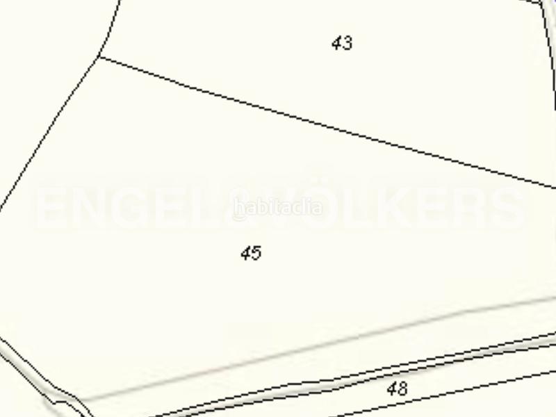 Foto 0a3cc40e-73b0-4f3b-b9f7-ee028dc8207e. Terreno residencial finca de naranjos powell en plena producción. en Pedralba