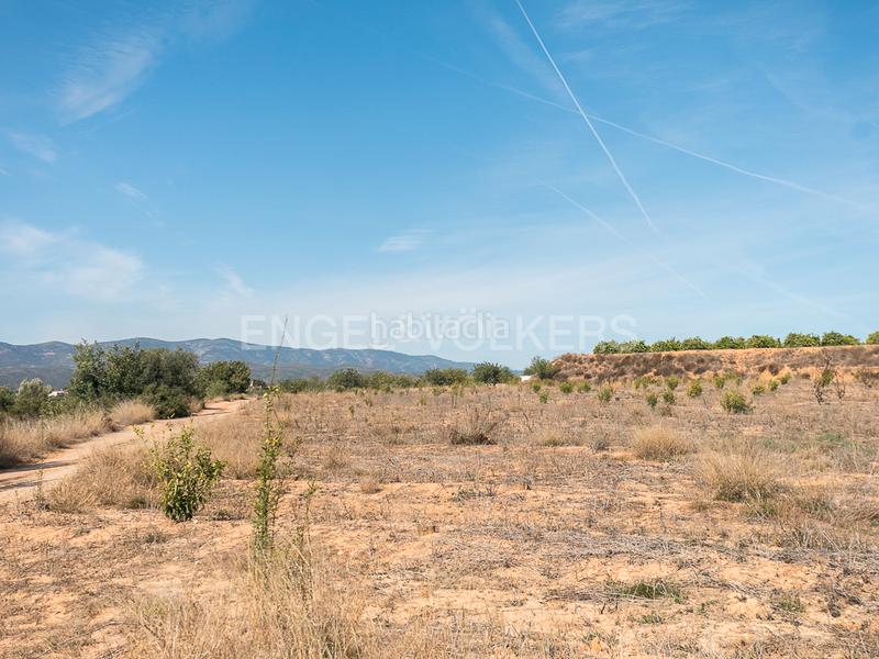 Foto 620fe639-c63f-4502-bb03-192febefc95d. Terreno residencial finca de naranjos powell en plena producción. en Pedralba