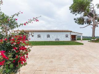 Casa en Montroi / Montroy. Finca rústica con naranjos en montroy