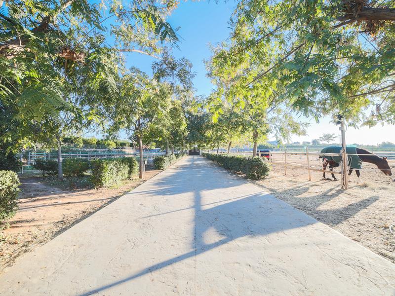 Foto adf5ea6b-4f76-4ab3-91d8-2555a9d6aa4d. Haus mit heizung parking pool in Los Pinares-La Masia Bétera