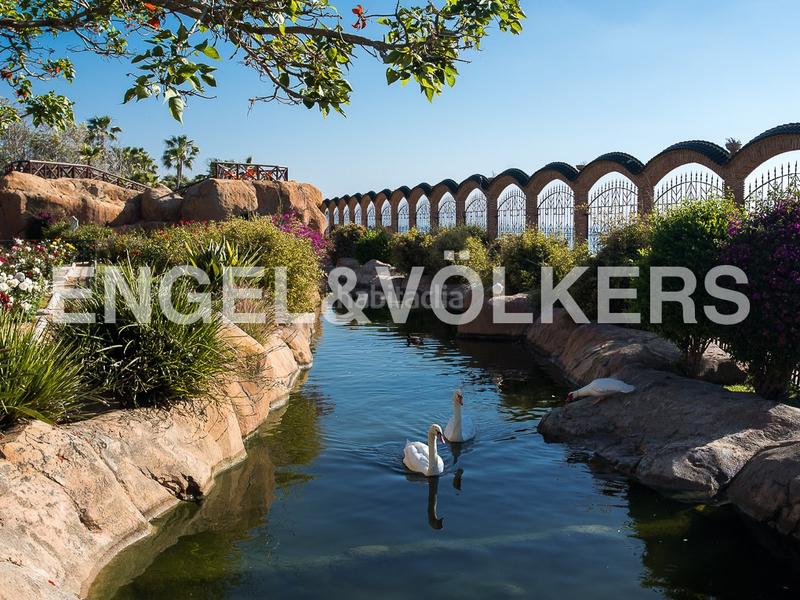 Foto 20f8092d-7333-4d08-ae4b-5ddd4c4b0380. Apartament amb calefacció aparcament piscina a Vista Mar Oropesa del Mar