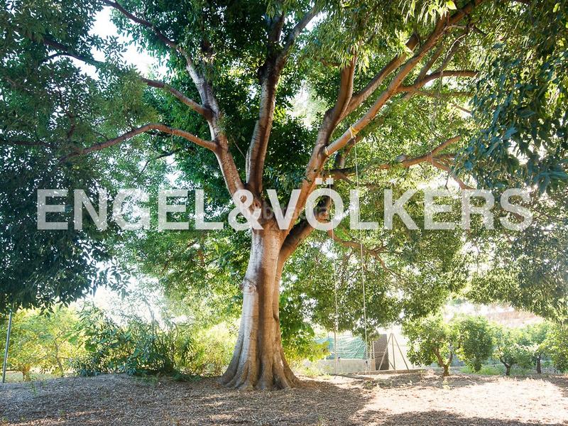 Foto 06c3b20a-c1ff-41e8-9c21-82d84ef81619. Maison avec chauffage dans Madrigal Villarreal / Vila - real