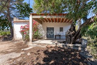 Terreny residencial a Palma de Gandía. Oportunidad de finca rustica en palma de gandía