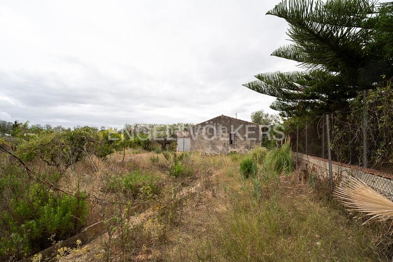 Foto 14006111-1295-4936-8c7c-5698b1a11f8c. Terreno residenziale in Ondara