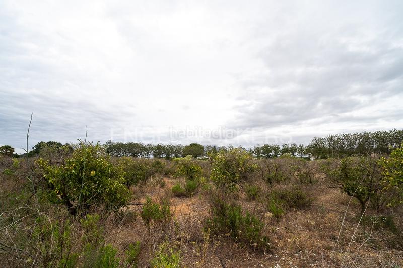 Foto 9435d1fa-d8fd-4b6b-b461-84d244d01370. Terreno residenziale in Ondara