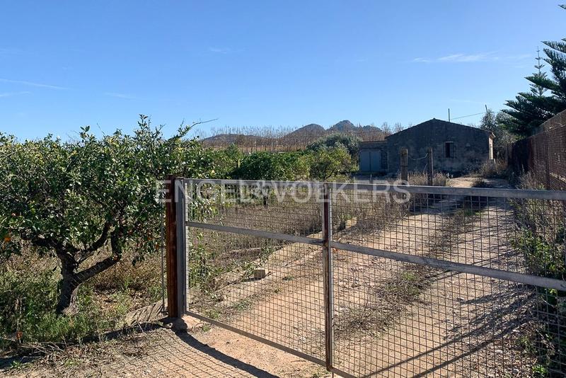 Foto e6677f73-85e7-4817-bbc0-ea71a85d72ae. Terreno residenziale in Ondara