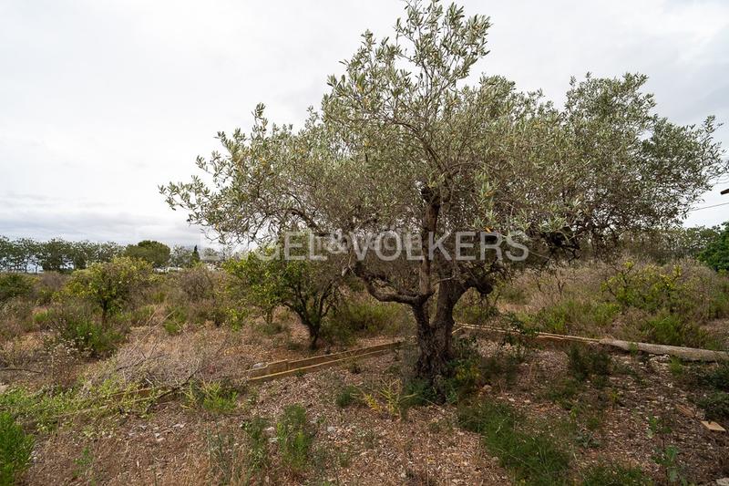 Foto e7601b73-e8fd-4542-9ee1-c6fb29d2708e. Terreno residenziale in Ondara