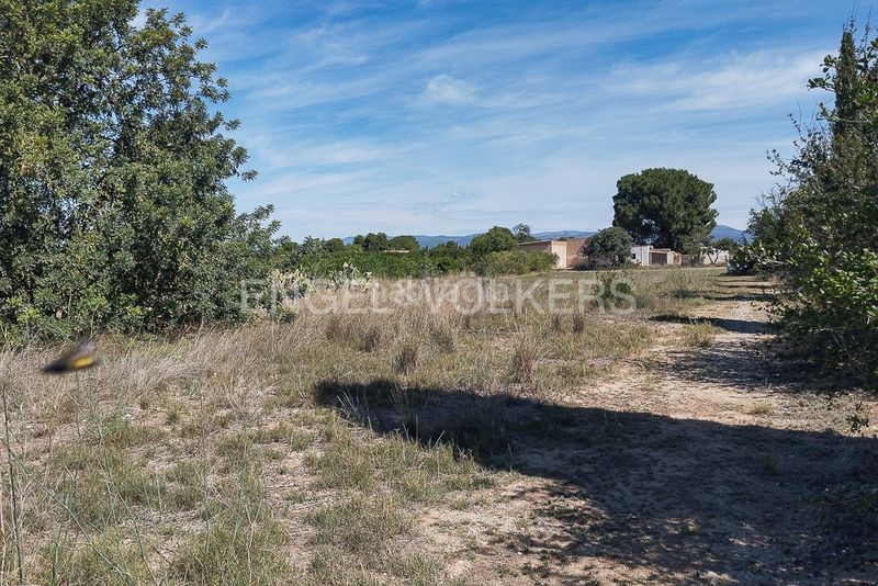 Foto 1bd81eb5-69be-461d-bd67-1284167f47d1. Finca rústica a Casco Antiguo Llíria