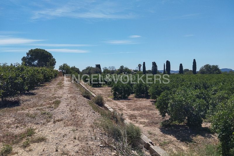 Foto 71d482c9-8345-4e40-8c23-5bd1004a435a. Finca rústica a Casco Antiguo Llíria