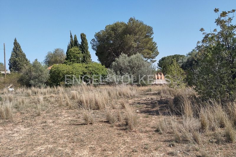 Foto 7f44739d-84f0-409d-9186-999d9718c5e5. Finca rústica a Casco Antiguo Llíria