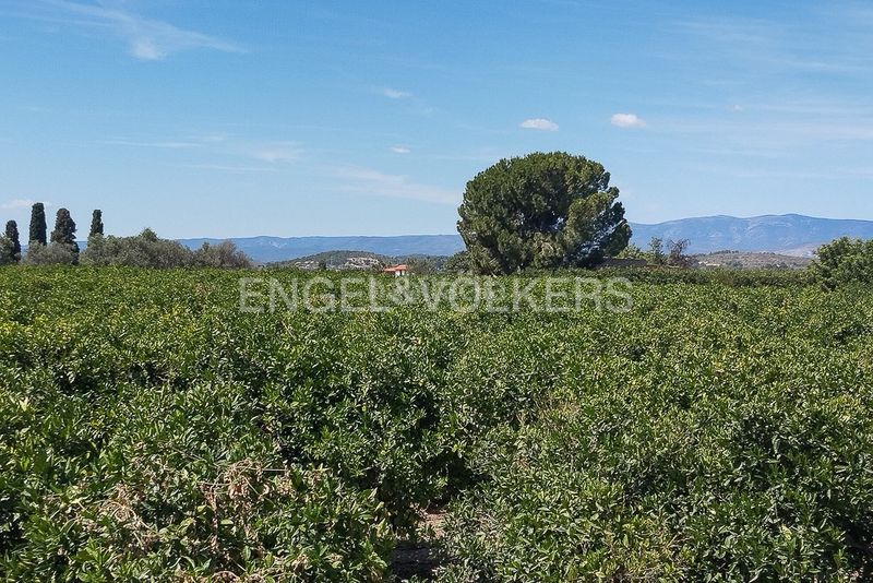 Foto db43e3df-3526-4b18-960d-377b866c9513. Finca rústica a Casco Antiguo Llíria