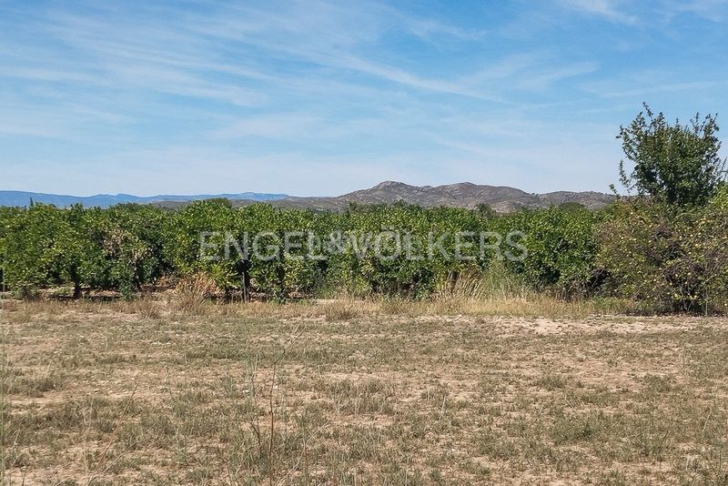 Foto e440adb6-6659-4a31-89e7-f1837761c65b. Finca rústica a Casco Antiguo Llíria