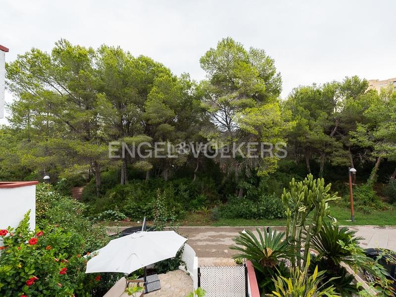 Foto f5fdbd56-6be2-4575-a642-57ec4ffd0ae9. Miete haus mit heizung parking pool in El Saler Valencia