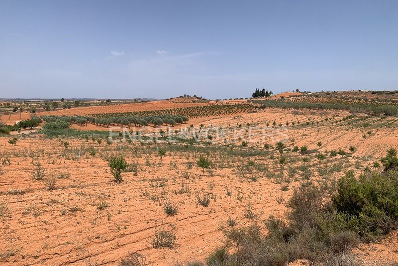 Foto 19fd12c7-1362-4165-b61e-b9635f3635ee. Terreny residencial a Requena