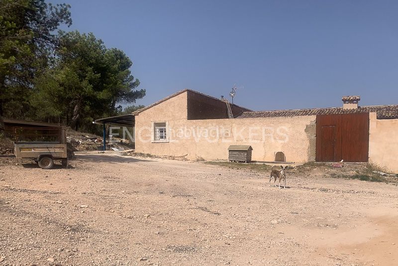 Foto 19fd4552-6c69-498f-b3cb-44548e7f5320. Terreny residencial a Requena