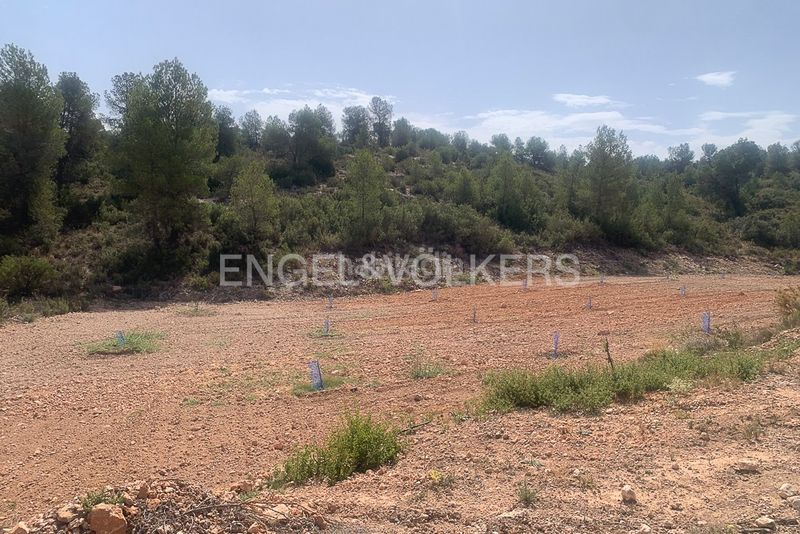 Foto 23e734c1-3a35-4a6b-940b-dc338d31e203. Terreny residencial a Requena