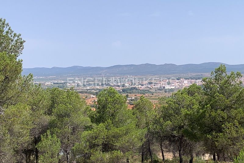 Foto 2498c941-1909-4b57-b0ff-8b6b2ea4205b. Terreny residencial a Requena