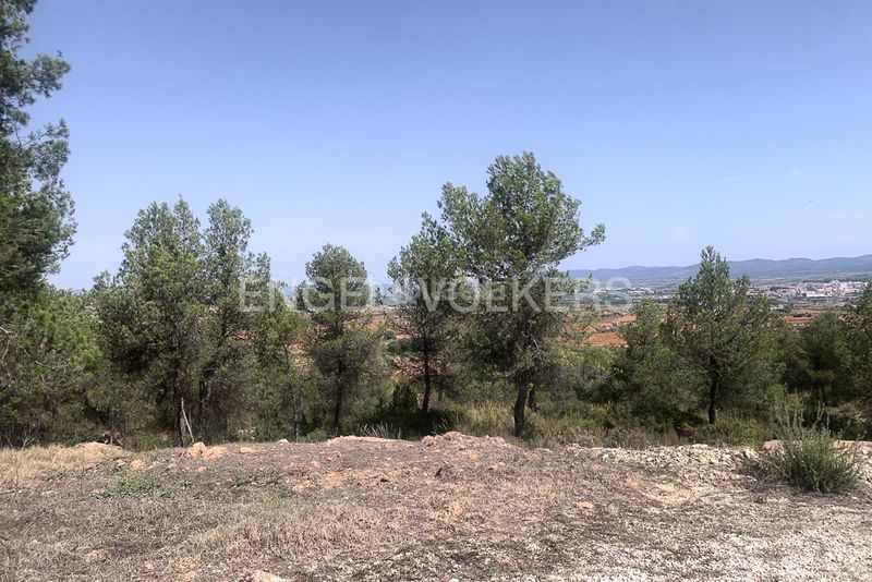 Foto 2bc14d0d-7554-40ae-9e14-6aee67e9c5ce. Terreny residencial a Requena