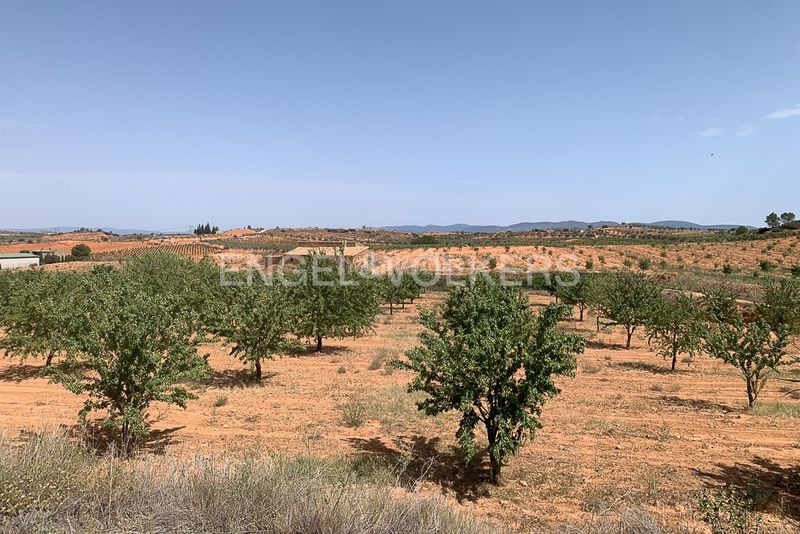 Foto 45e8ce07-30b5-4da5-a5f1-6ca81faf93a8. Terreny residencial a Requena