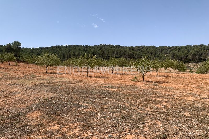 Foto 482e8a0a-5156-4006-b845-b7d13965232f. Terreny residencial a Requena