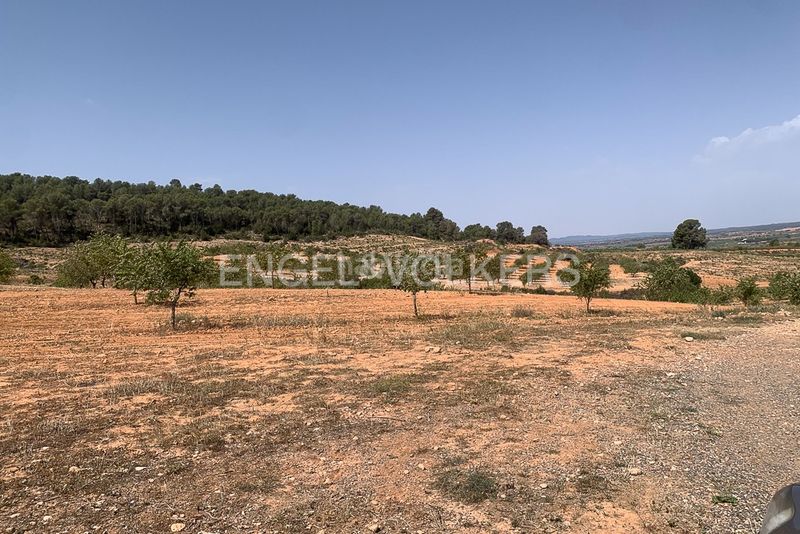 Foto 4d099c48-981f-4ef6-8a81-aae535688364. Terreny residencial a Requena