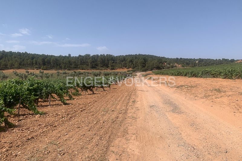 Foto 58c09d9e-d763-4a7e-829b-4a25bef1be40. Terreny residencial a Requena