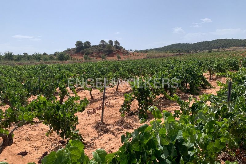 Foto 59852e2e-72d5-4fc2-b09f-c6a17b66518b. Terreny residencial a Requena