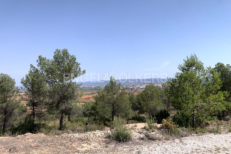 Foto 5c1a7a69-9d41-4347-be04-14e5cb528e08. Terreny residencial a Requena
