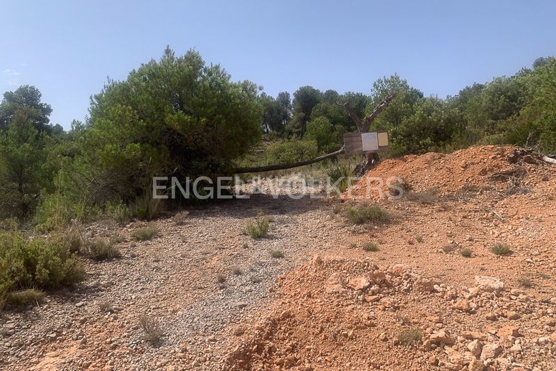 Foto 6ee60d19-51bb-4044-ae26-688f54aced9b. Terreny residencial a Requena