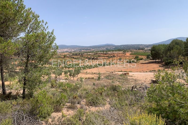 Foto 8a14ee1a-d477-4325-812a-7d9edf908c45. Terreny residencial a Requena