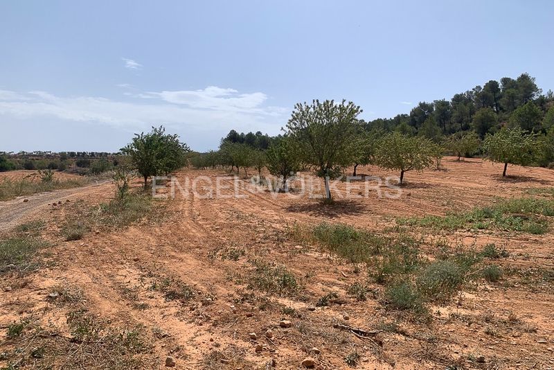 Foto 8ee873d4-1703-4969-a61e-9219dff677a0. Terreny residencial a Requena