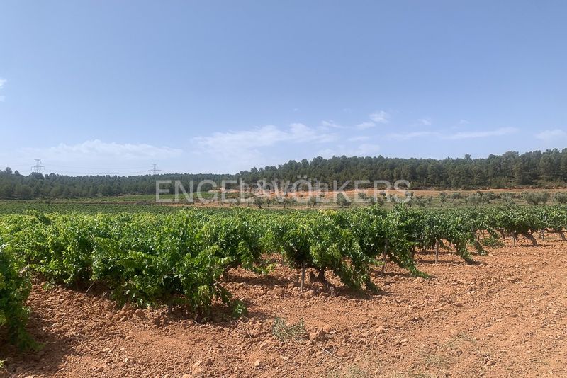 Foto 981e364b-a7f1-4253-8a4b-8d162c46f361. Terreny residencial a Requena