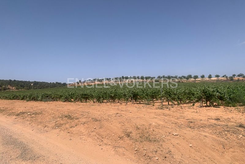 Foto ac0ecef9-3e12-4d0e-998e-95b5003be2ca. Terreny residencial a Requena