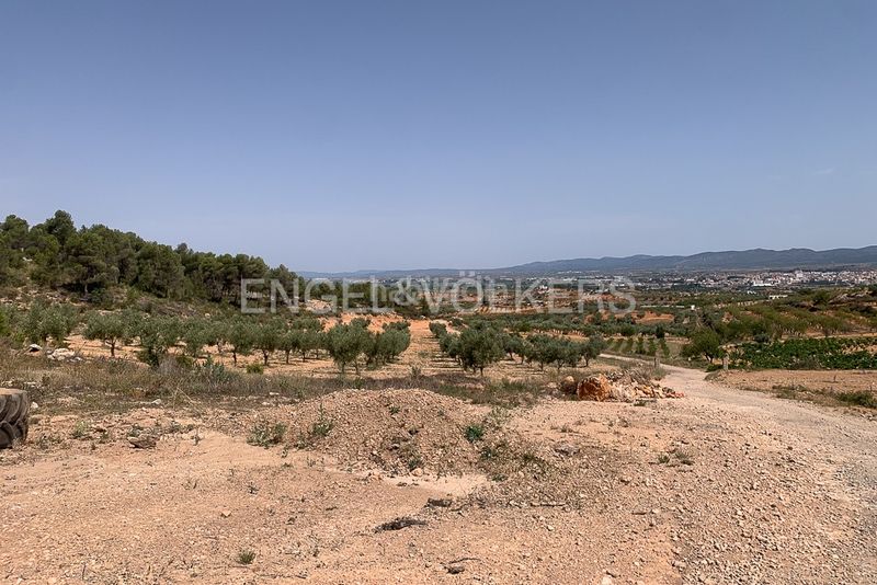 Foto cceae0d3-be7d-4ce0-8187-53892ad07356. Terreny residencial a Requena
