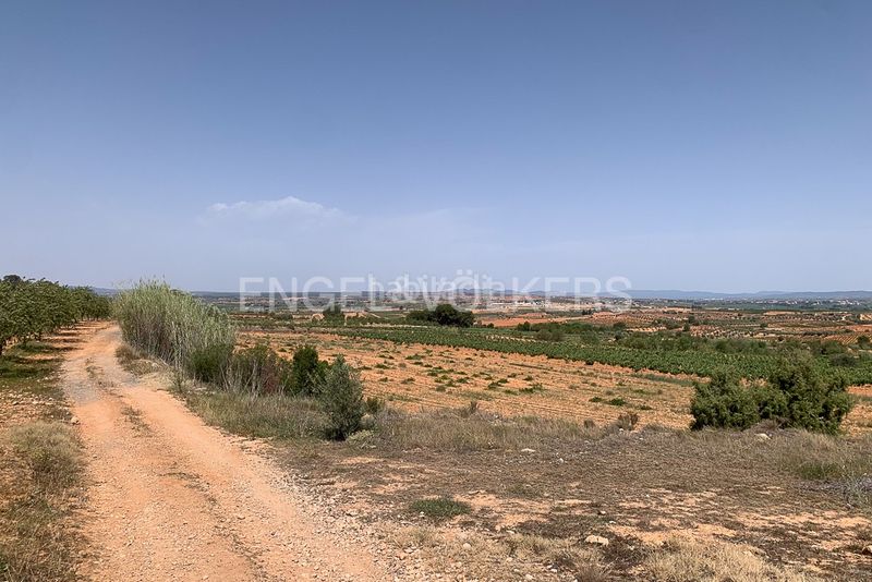 Foto ce70ca63-6136-4a76-b604-ed1a1643f8cc. Terreny residencial a Requena