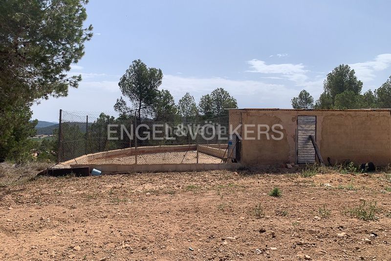 Foto dba7ad96-af8f-4594-81b2-a46cc444f9c9. Terreny residencial a Requena