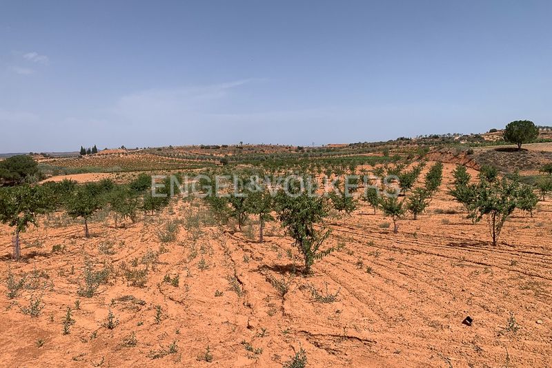 Foto e1f75a8c-b6d6-4893-bfc1-048473ac6aee. Terreny residencial a Requena