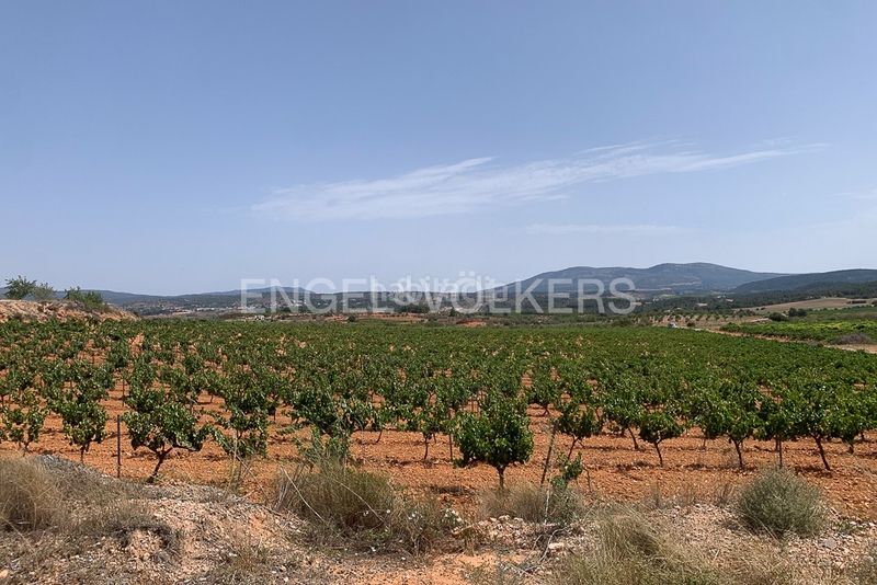 Foto f6882f26-5056-4f3d-b037-b1e11daa6485. Terreny residencial a Requena