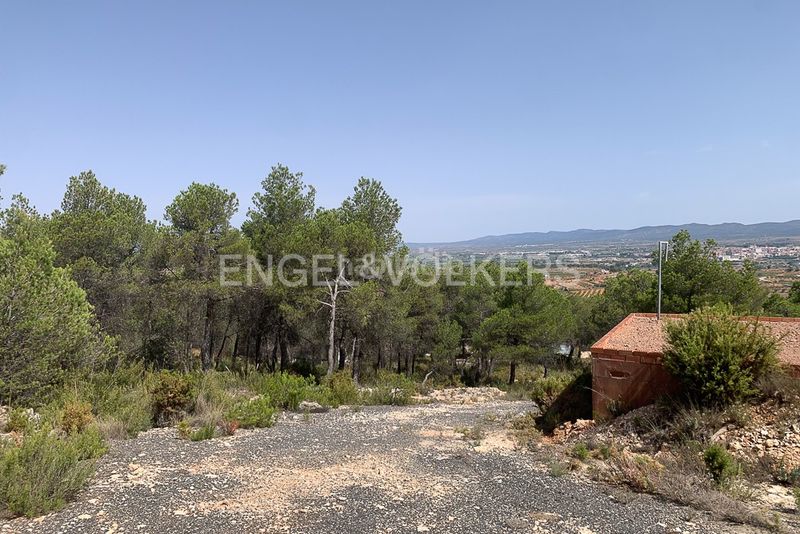 Foto fcb0ae87-3da2-4ee7-a780-6dc9e61adbba. Terreny residencial a Requena
