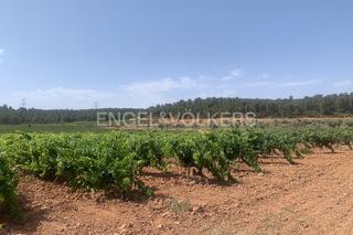 Terreny residencial a Requena. Finca rústica en requena para inversión