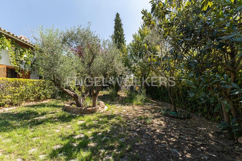 Foto d8c29f5e-d26a-4918-b78f-294b370974f8. Casa amb calefacció aparcament piscina a Requena